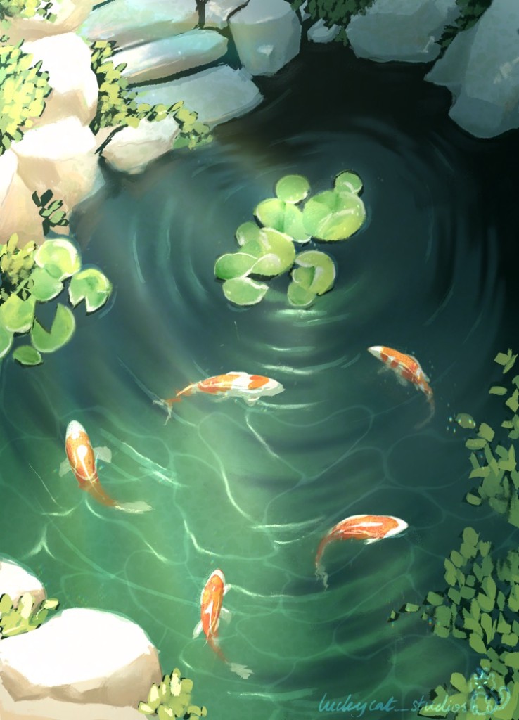 Koi fish pond illustration
